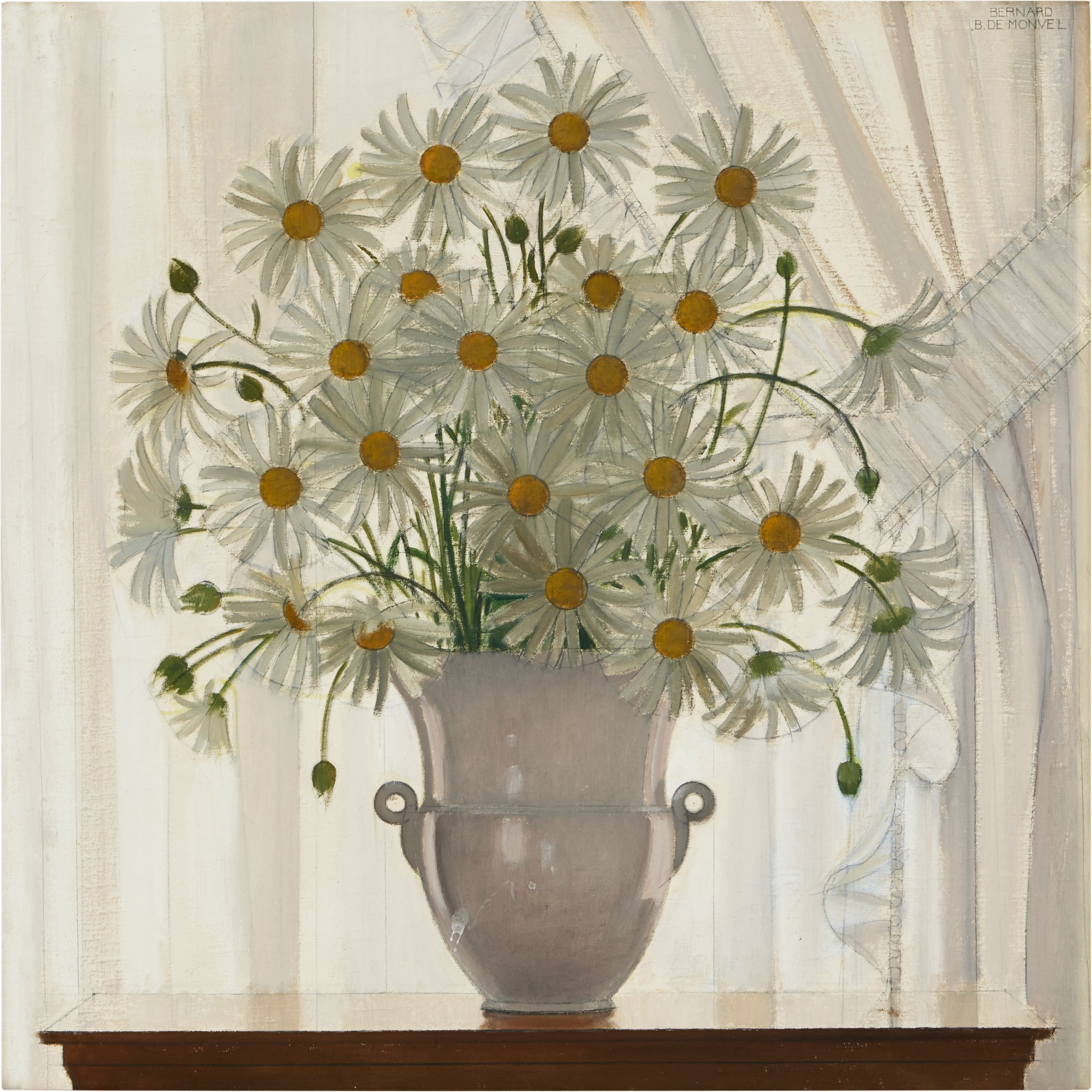 Daisies in the Shade