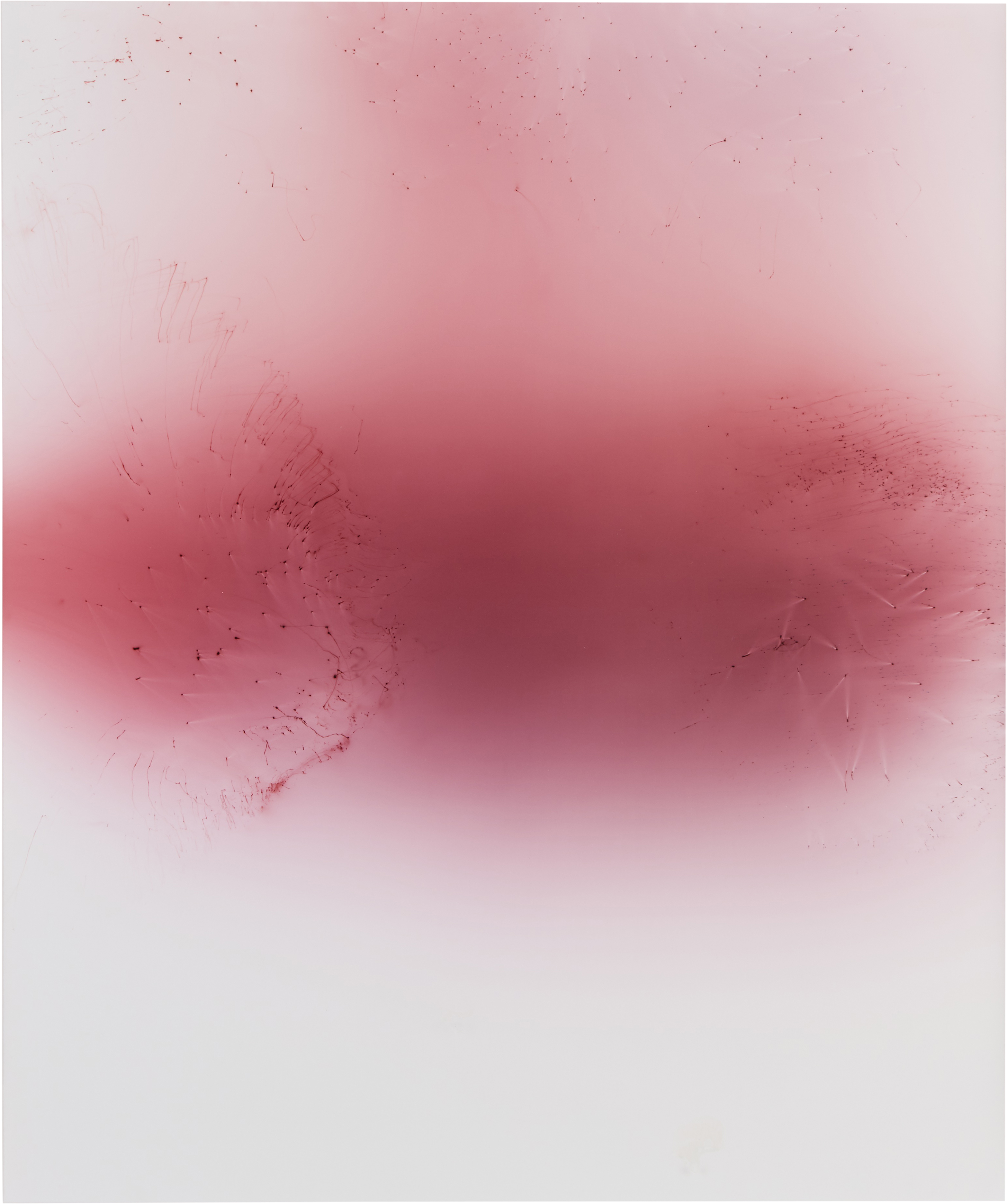 Wolfgang Tillmans — Blushes #36