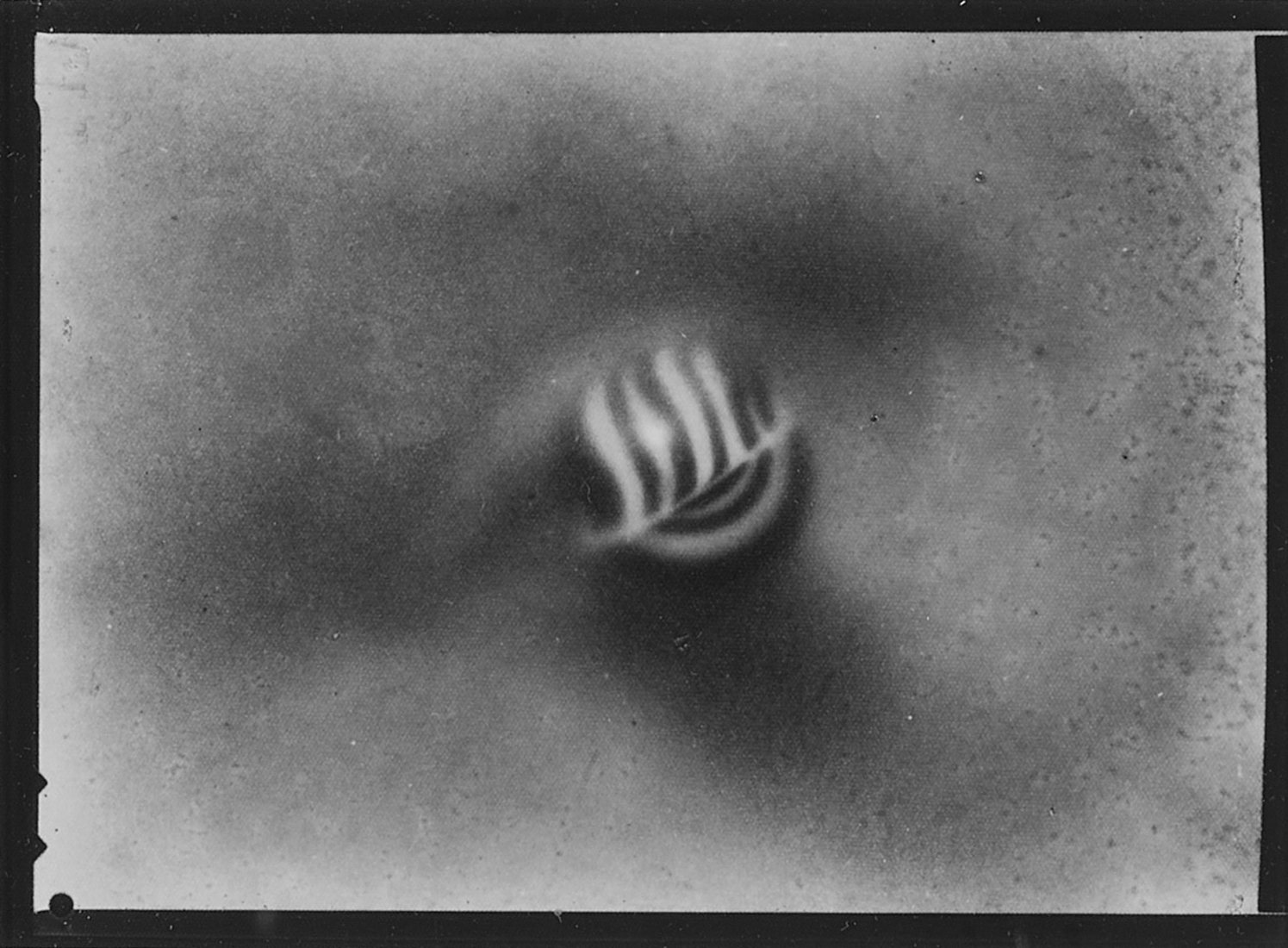 Josef Sudek — Still Life with Shell