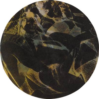 'Porno Photo Litho #3'