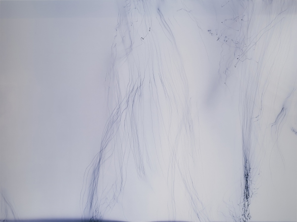 Wolfgang Tillmans — Freischwimmer 200