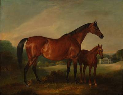 Beeswing & Foal with Old Fort Beyond