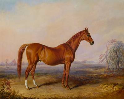 Glencoe in a Landscape