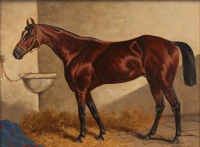 General Monroe in a Stable