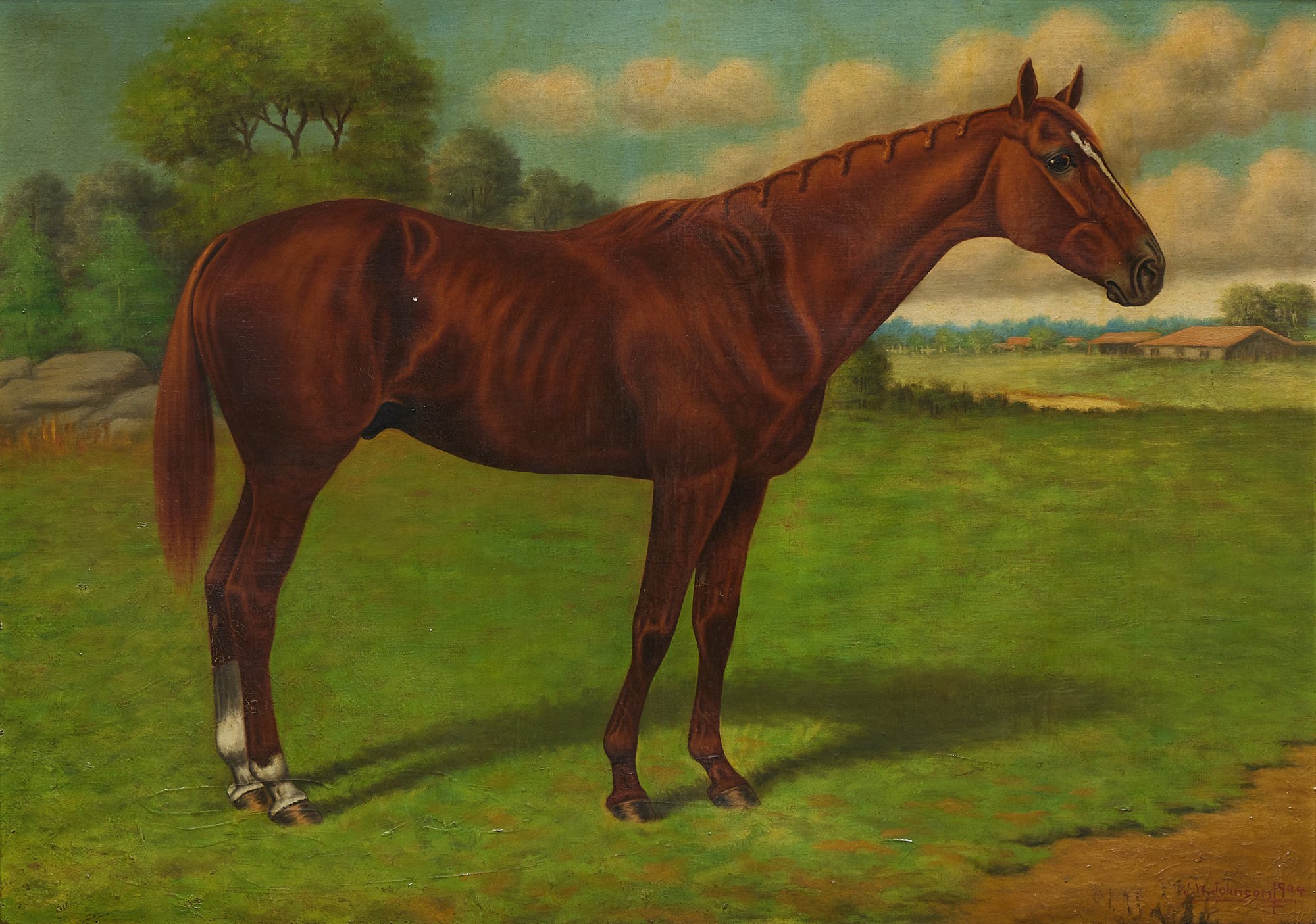 Hermis, Winner of the Brighton Cup, 1903