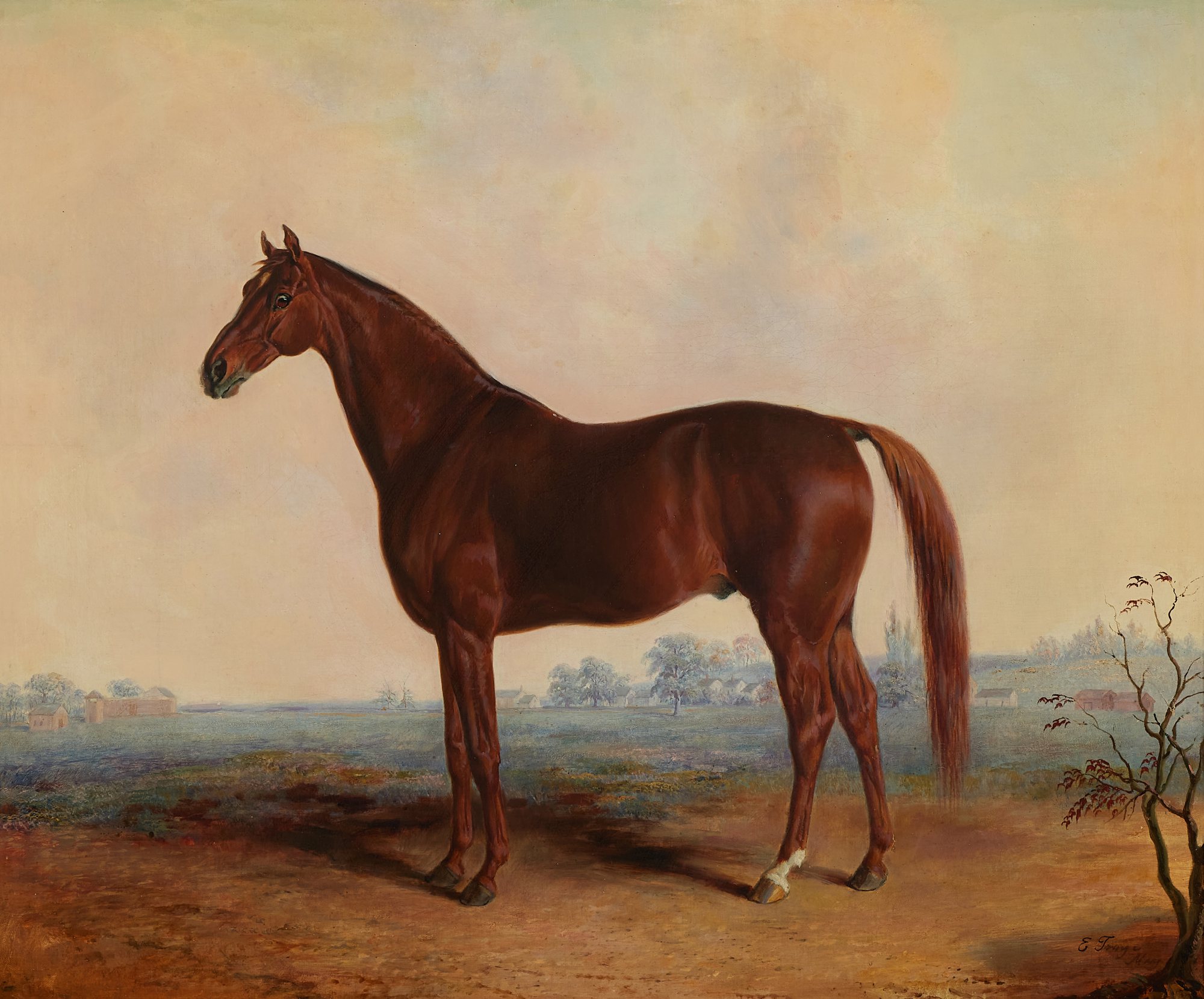 Henry in a Landscape