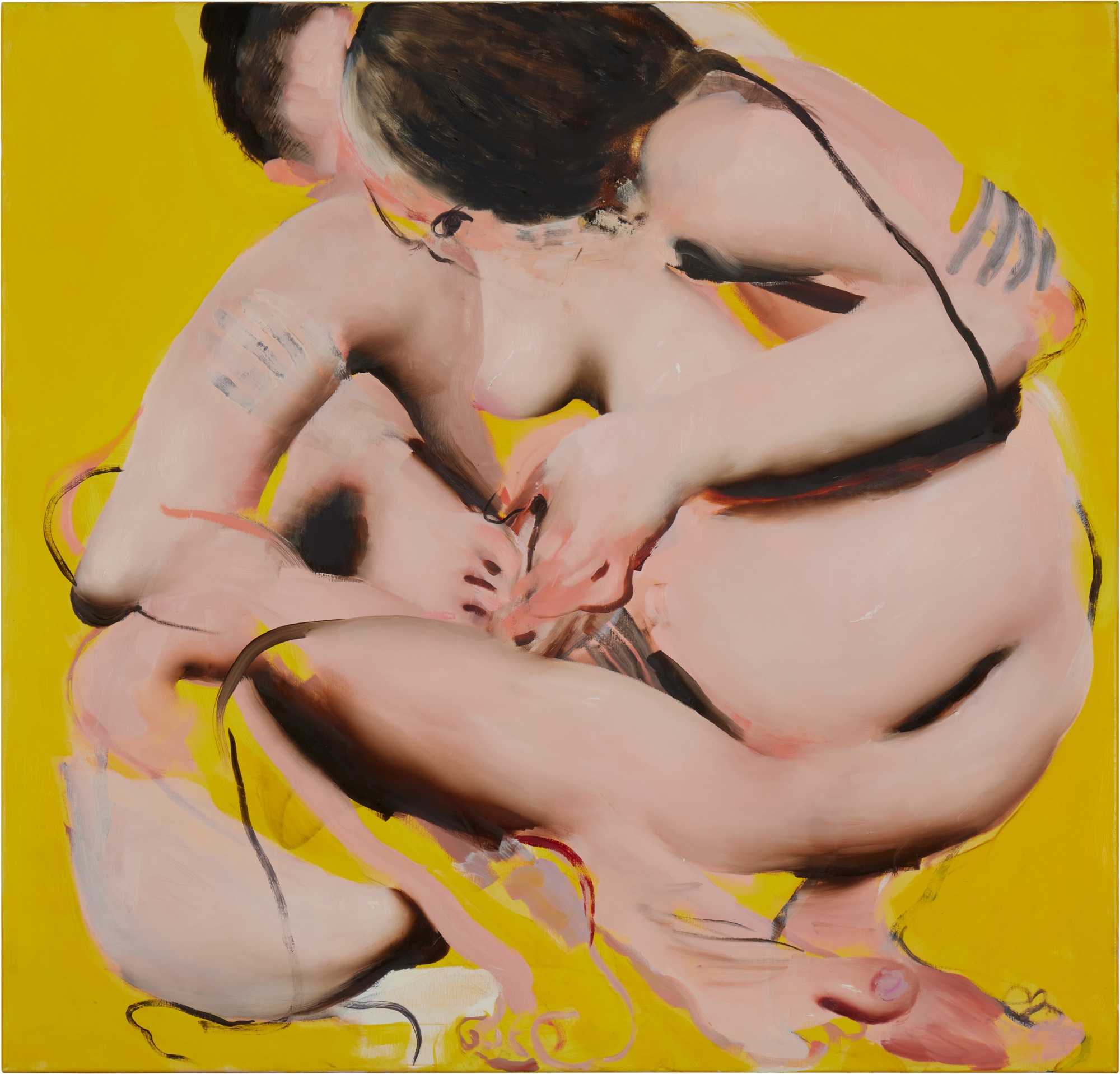 Ambera Wellmann — Homologous