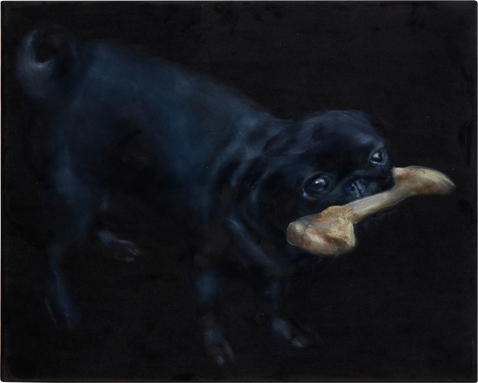 Issy Wood — Portrait of Gremlin