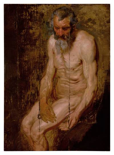 A study for Saint Jerome