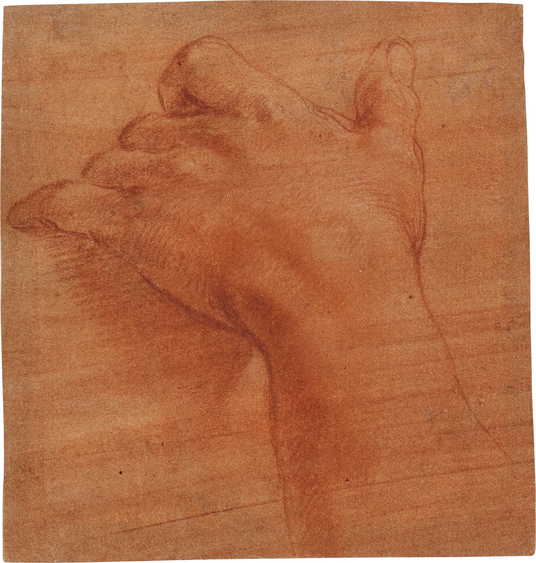 Girolamo Macchietti — Study of a left hand, preparatory for the ignudo carrying fire wood on his shoulder in the background of the Martyrdom of St. Lawrence
