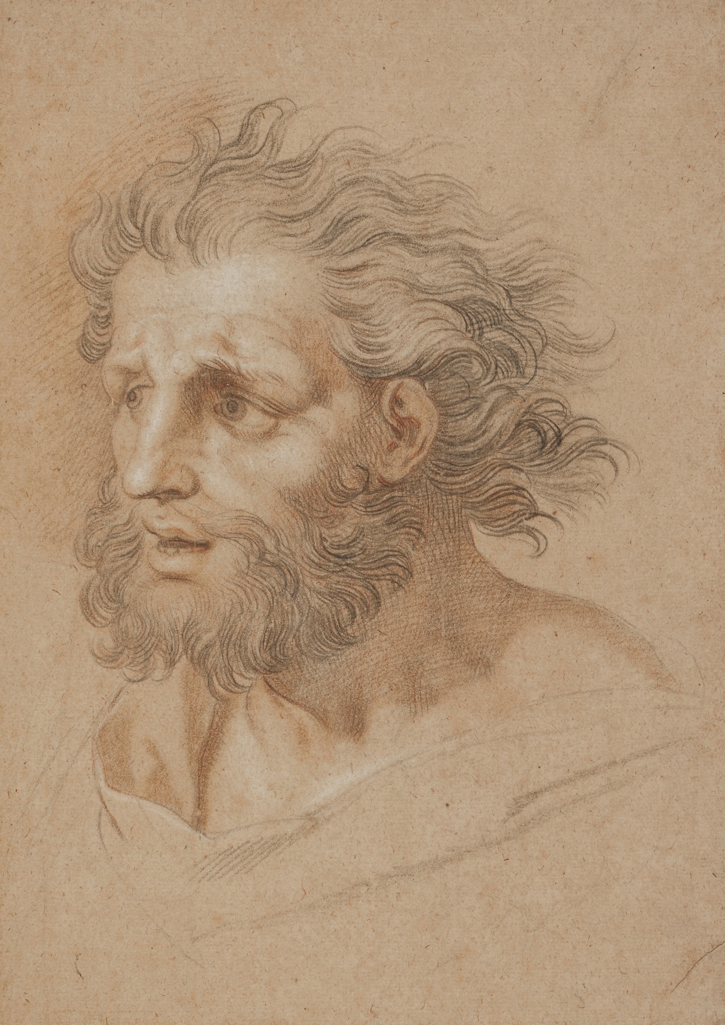Head study of a bearded man