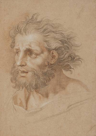 Head study of a bearded man
