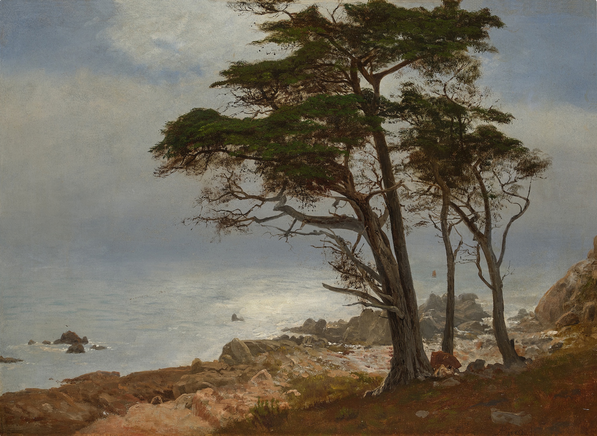 Coastal Scene, California