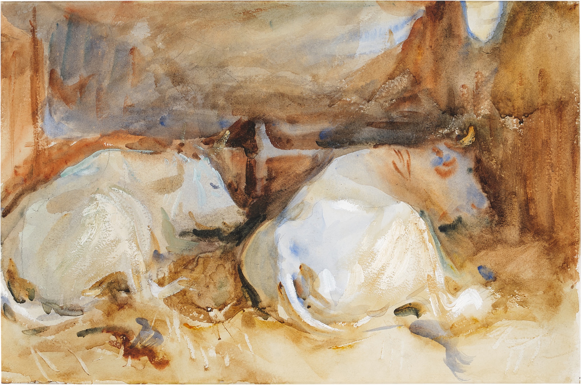 John Singer Sargent — Two Oxen in a Stable (Siena Oxen)