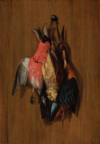 Still life of a bullfinch, a goldfinch, and a kingfisher