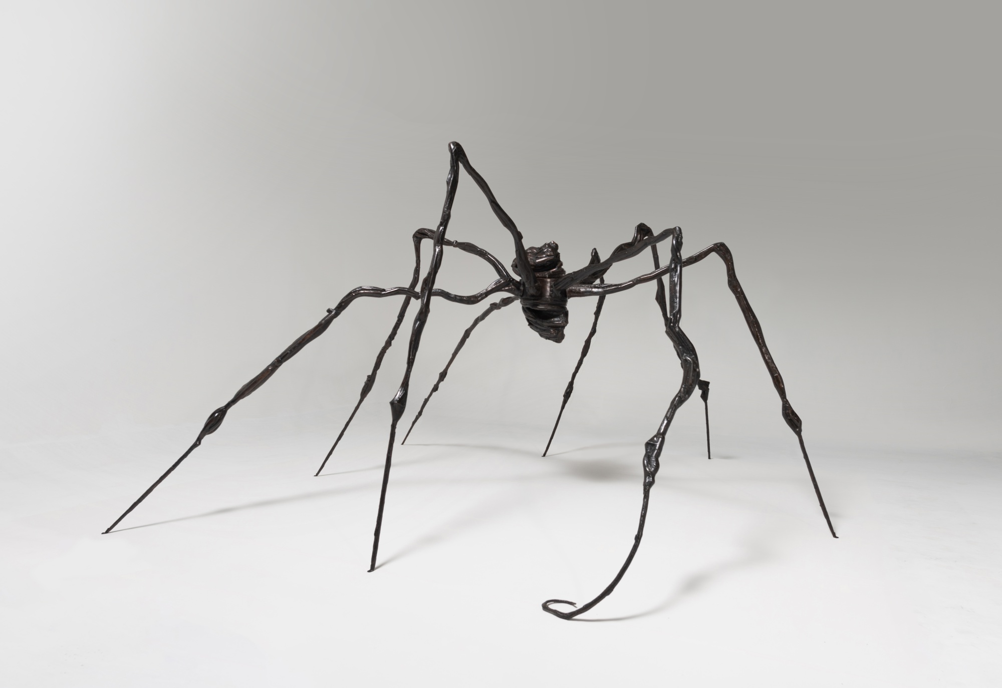 Louise Bourgeois — Spider