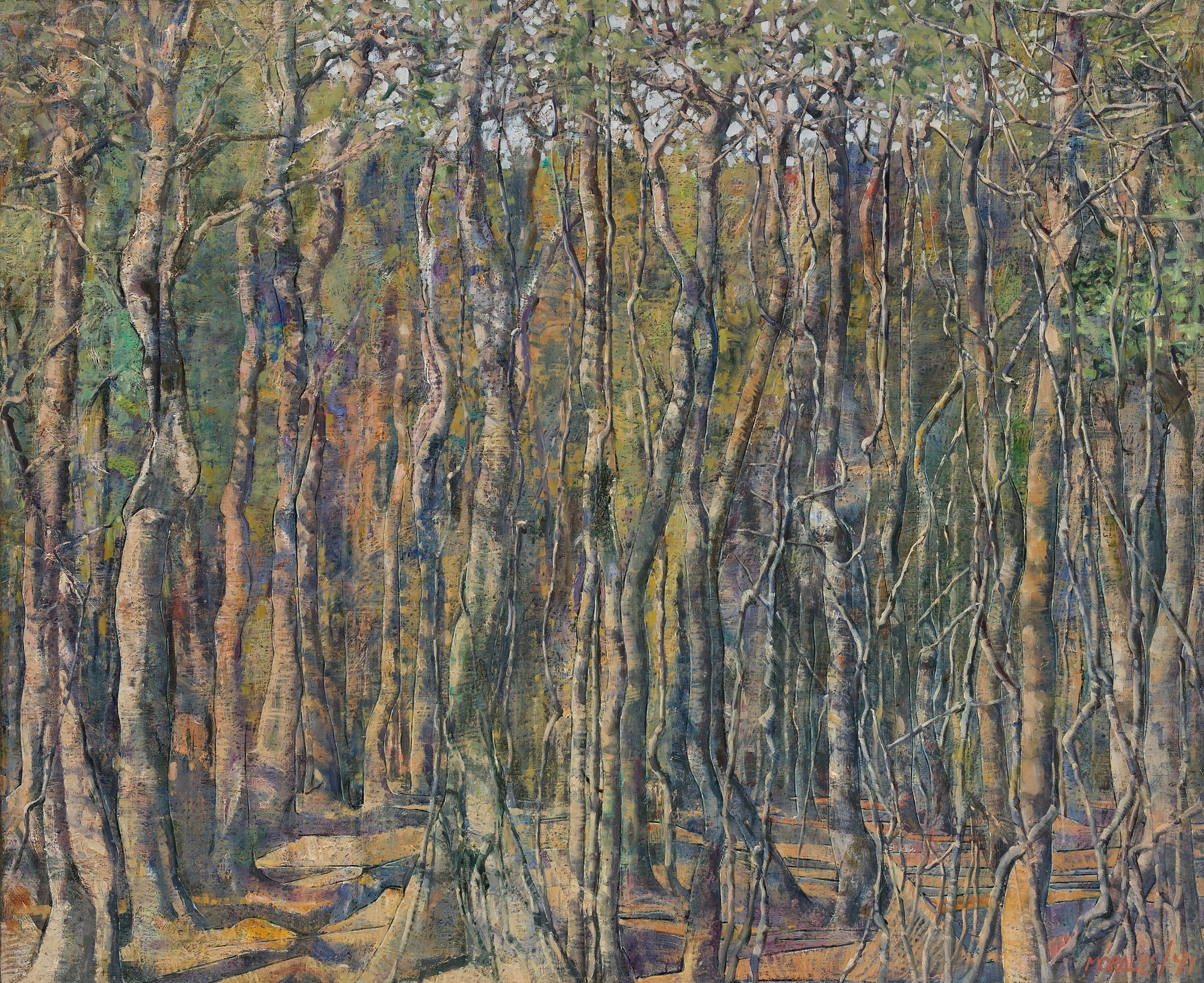 Armando Morales — Selva tropical (xérophile) II