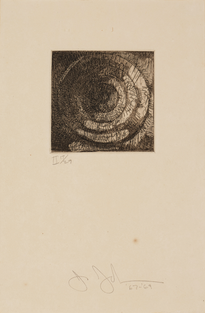 Jasper Johns — Target II