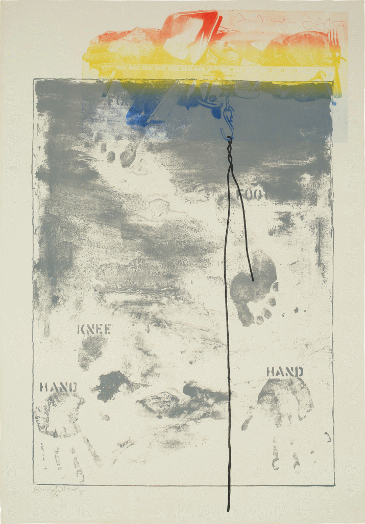 Jasper Johns — Pinion
