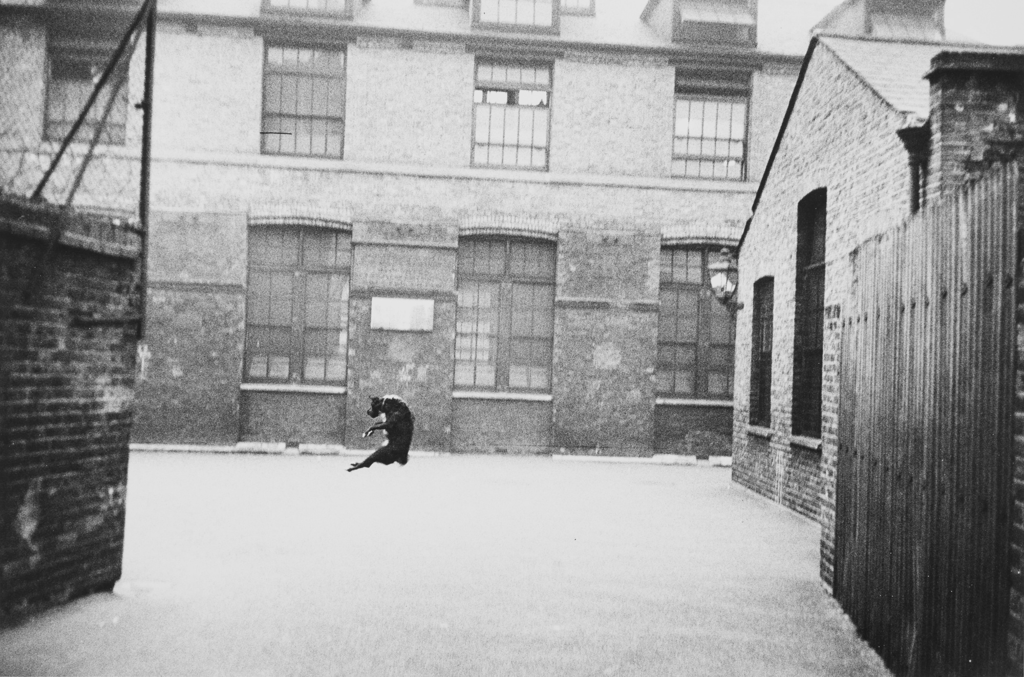 Robert Frank — 'London' (Dog Jumping)