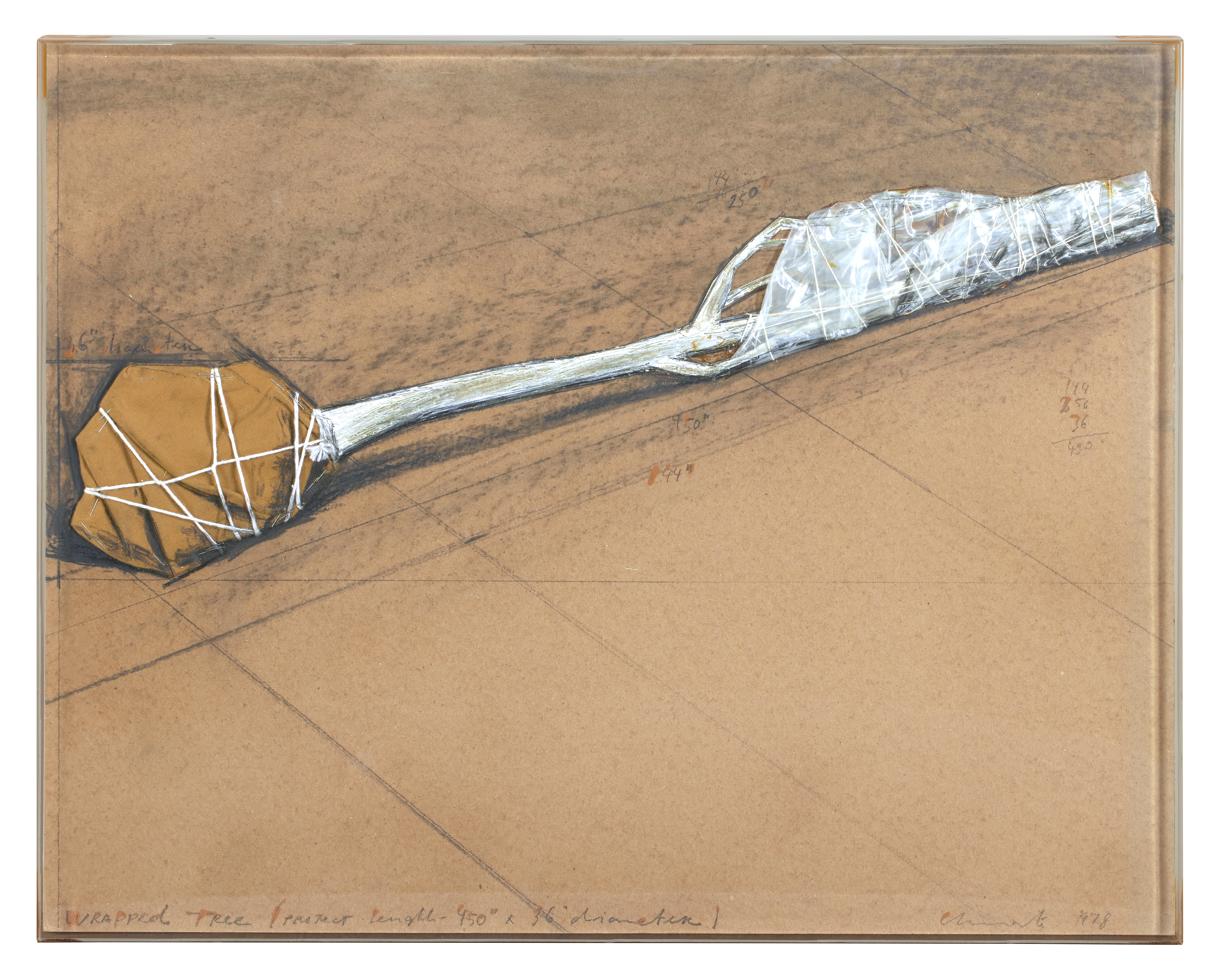 Christo — Wrapped Tree, Project