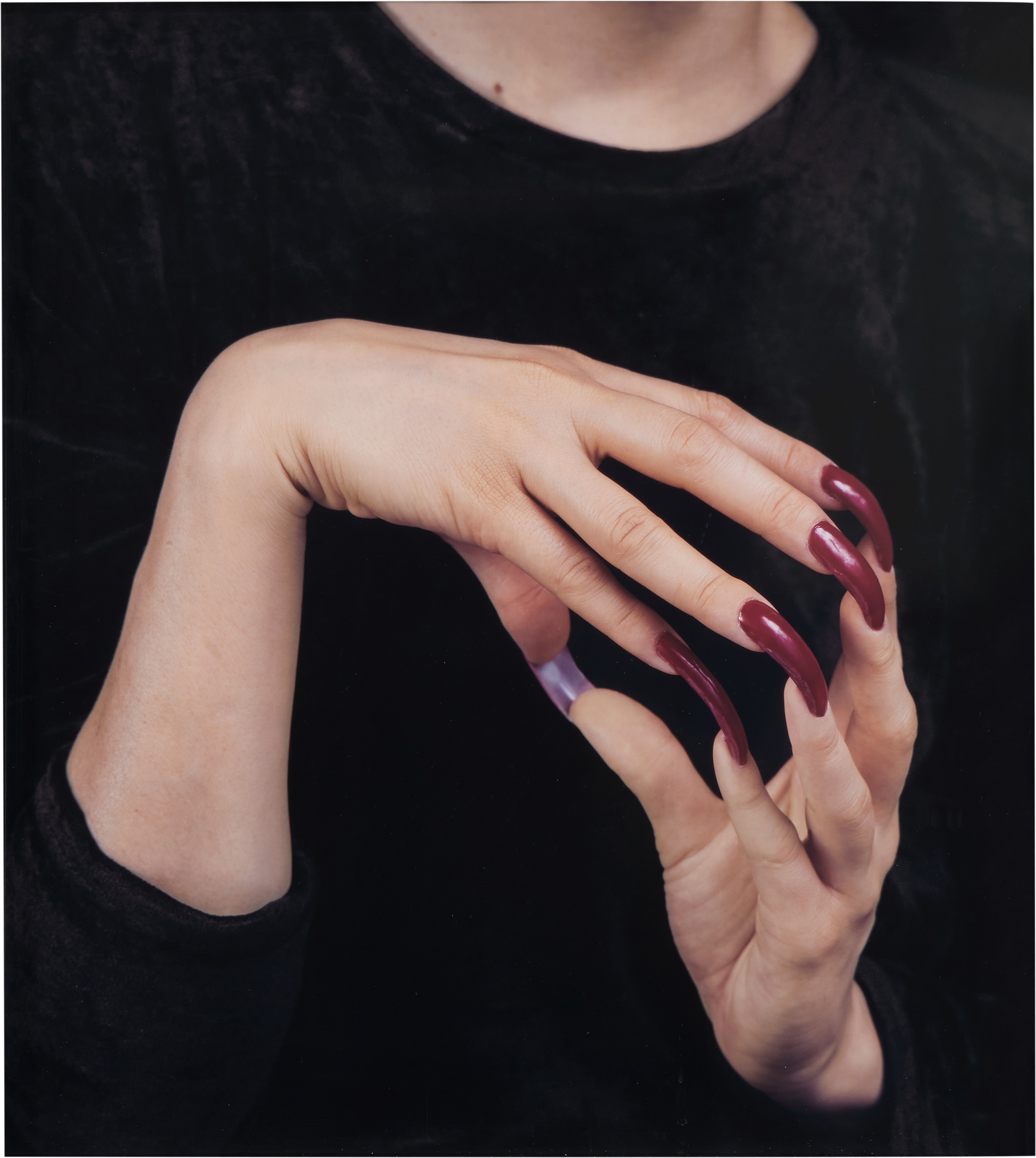 Janine Antoni — Ingrown