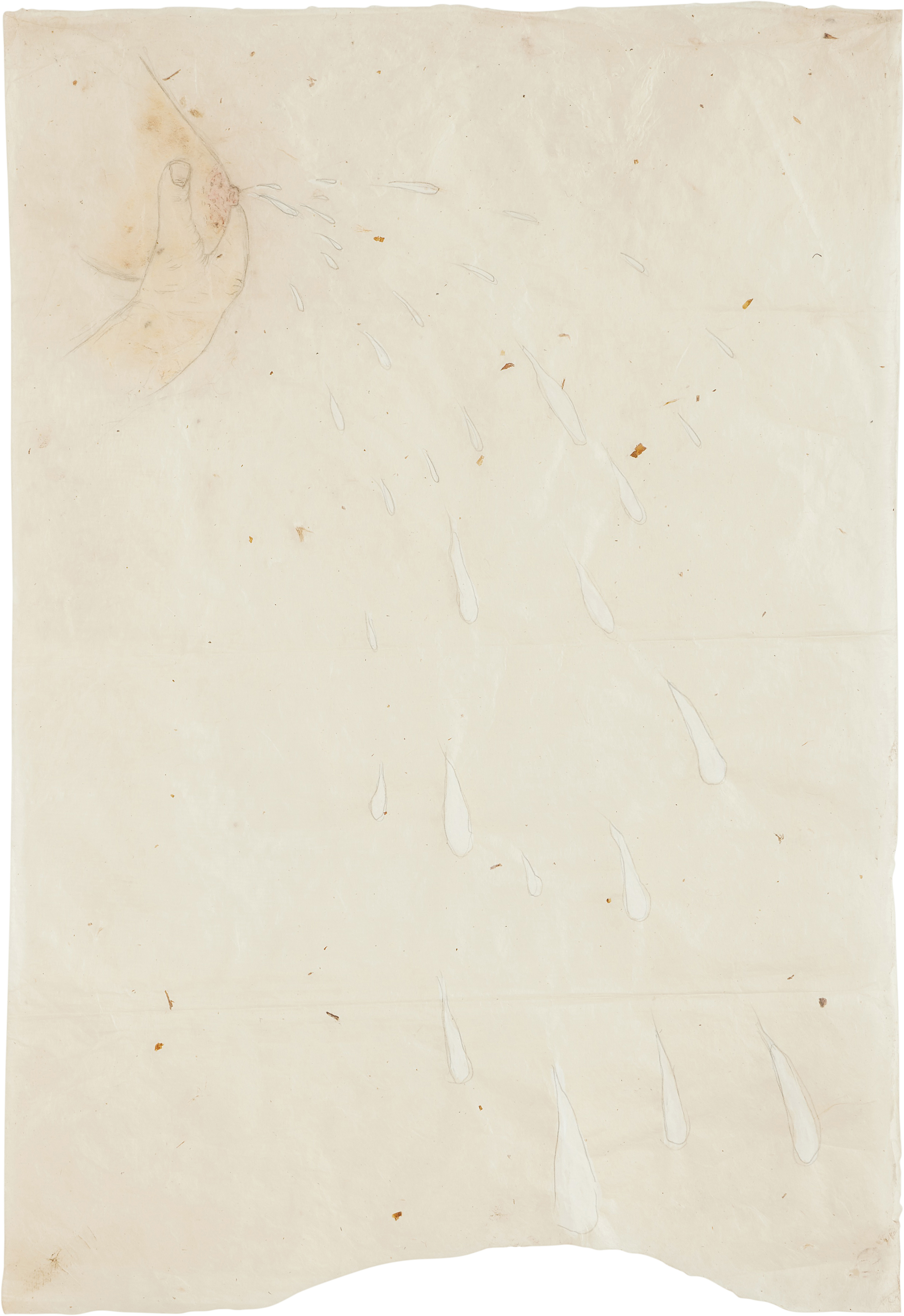 Kiki Smith — Bosom