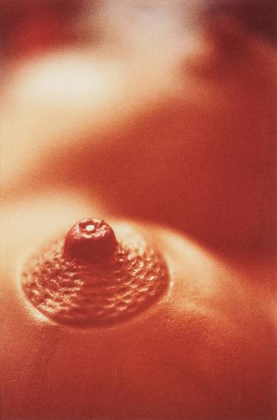 Nipple with Diamond