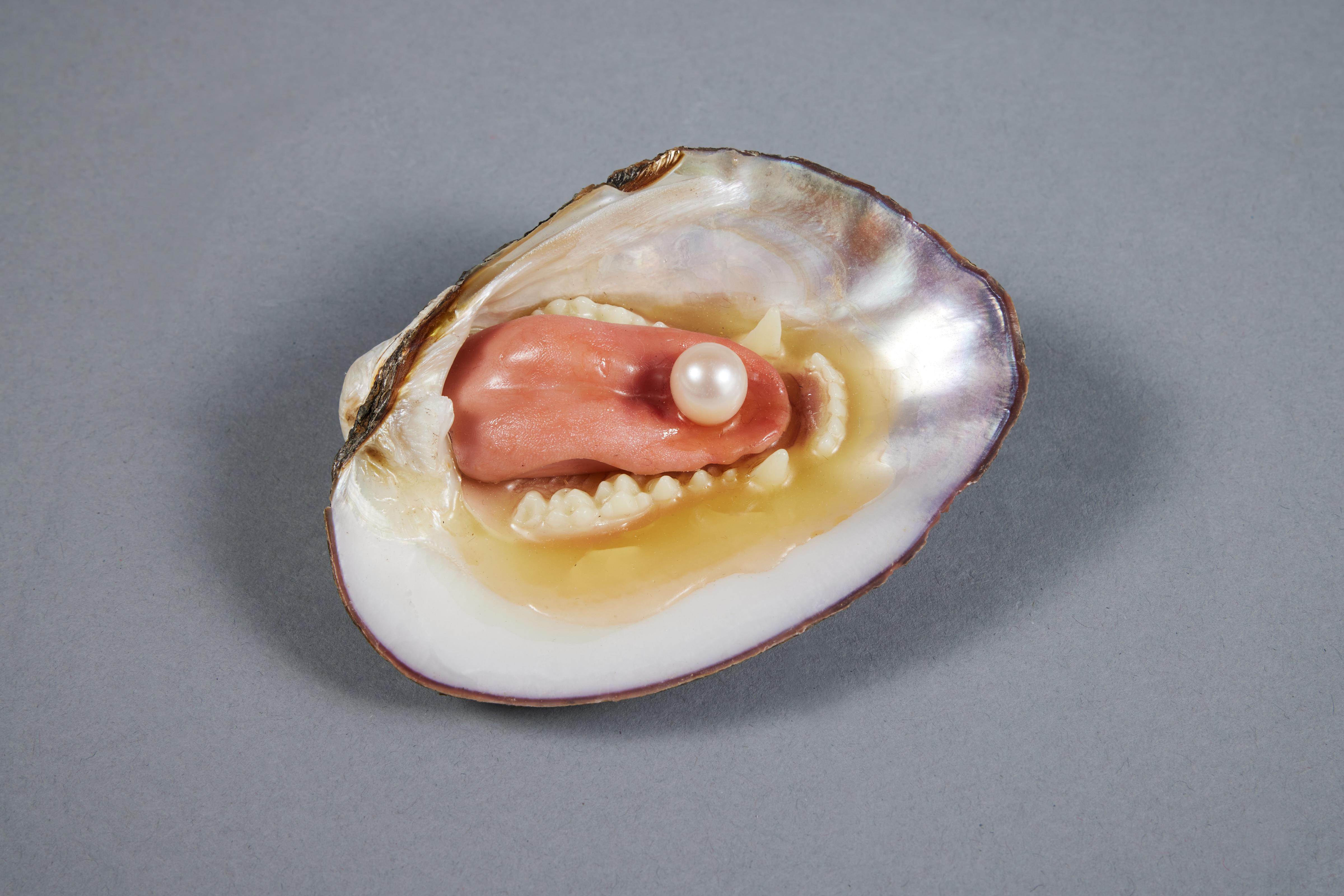 Untitled (Small Abalone Shell with Jaw)