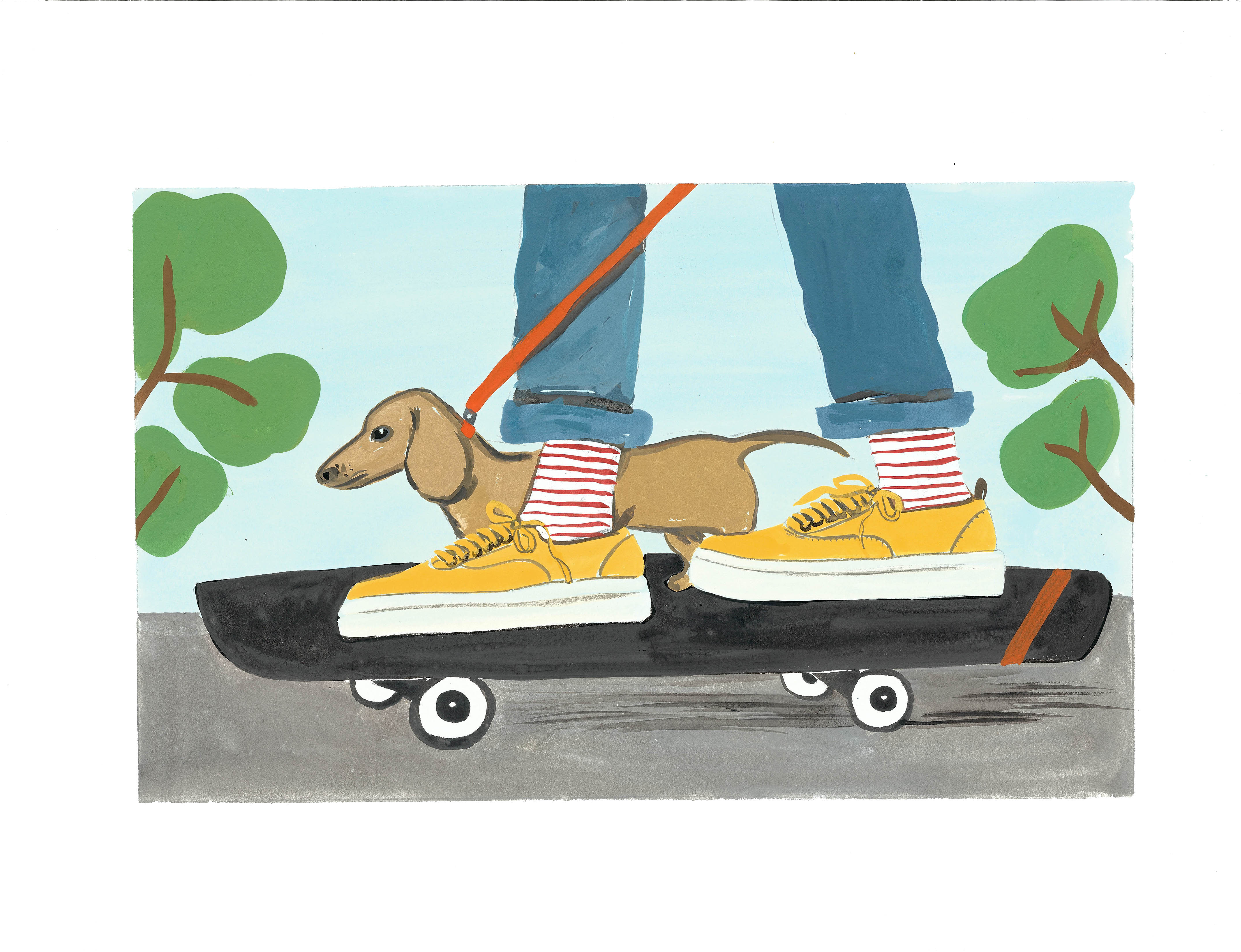 Konstantin Kakanias — Can a Dachshund Skateboard?