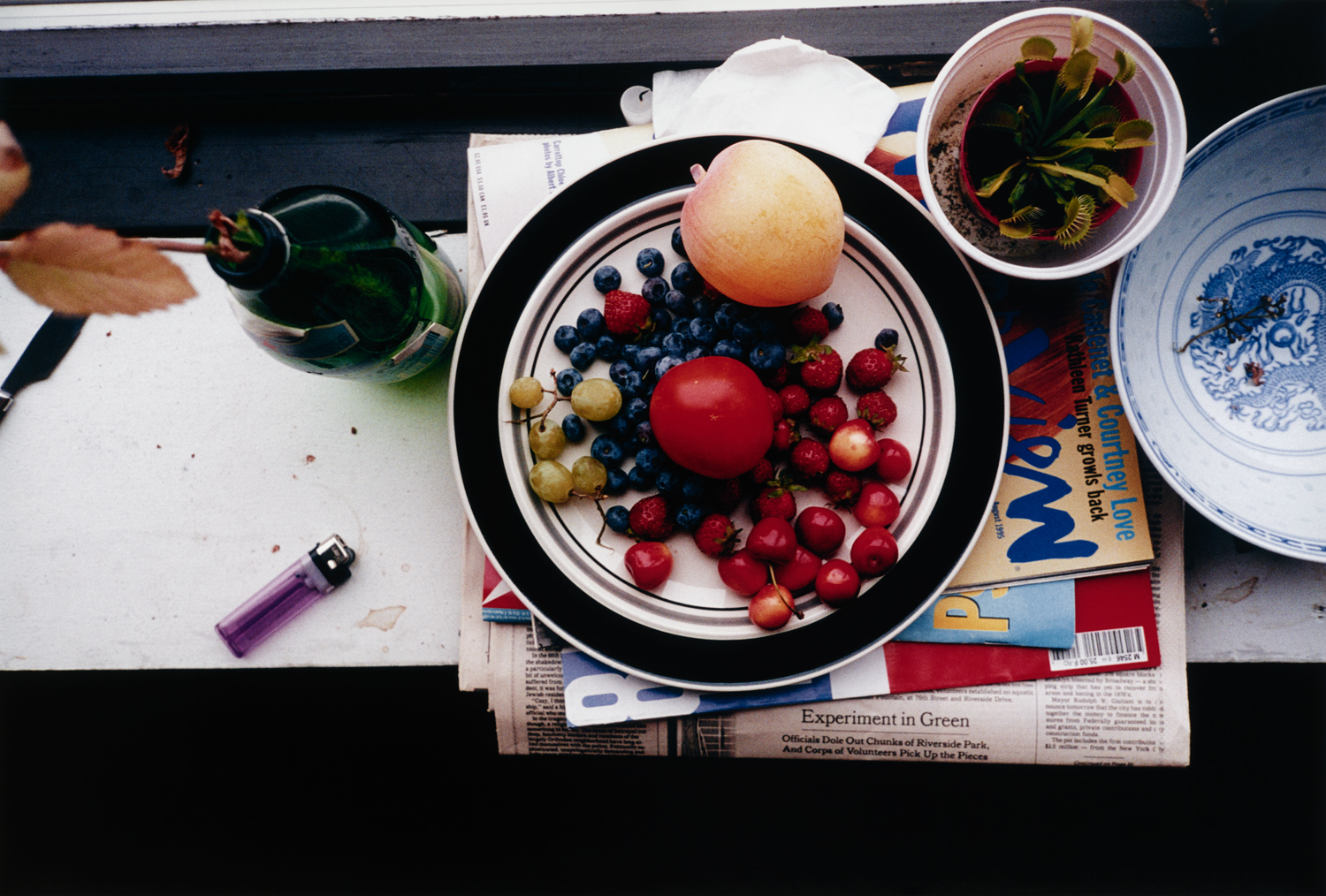 Wolfgang Tillmans — Summer still-life