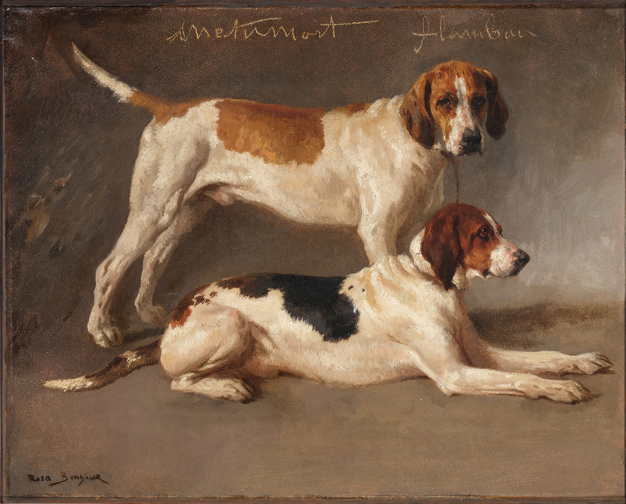 Metamort et Flambeau