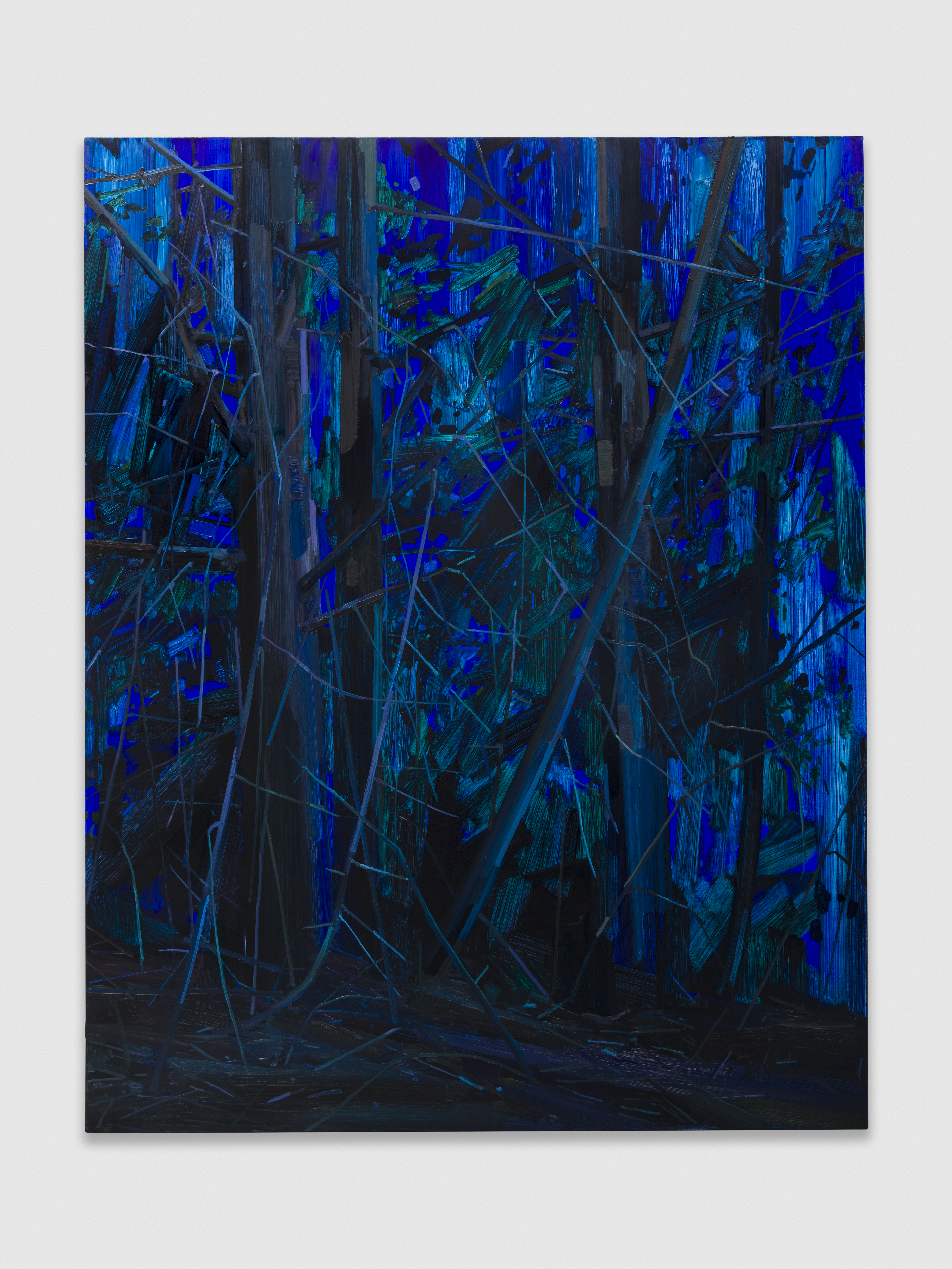 Claire Sherman — Trees and Night