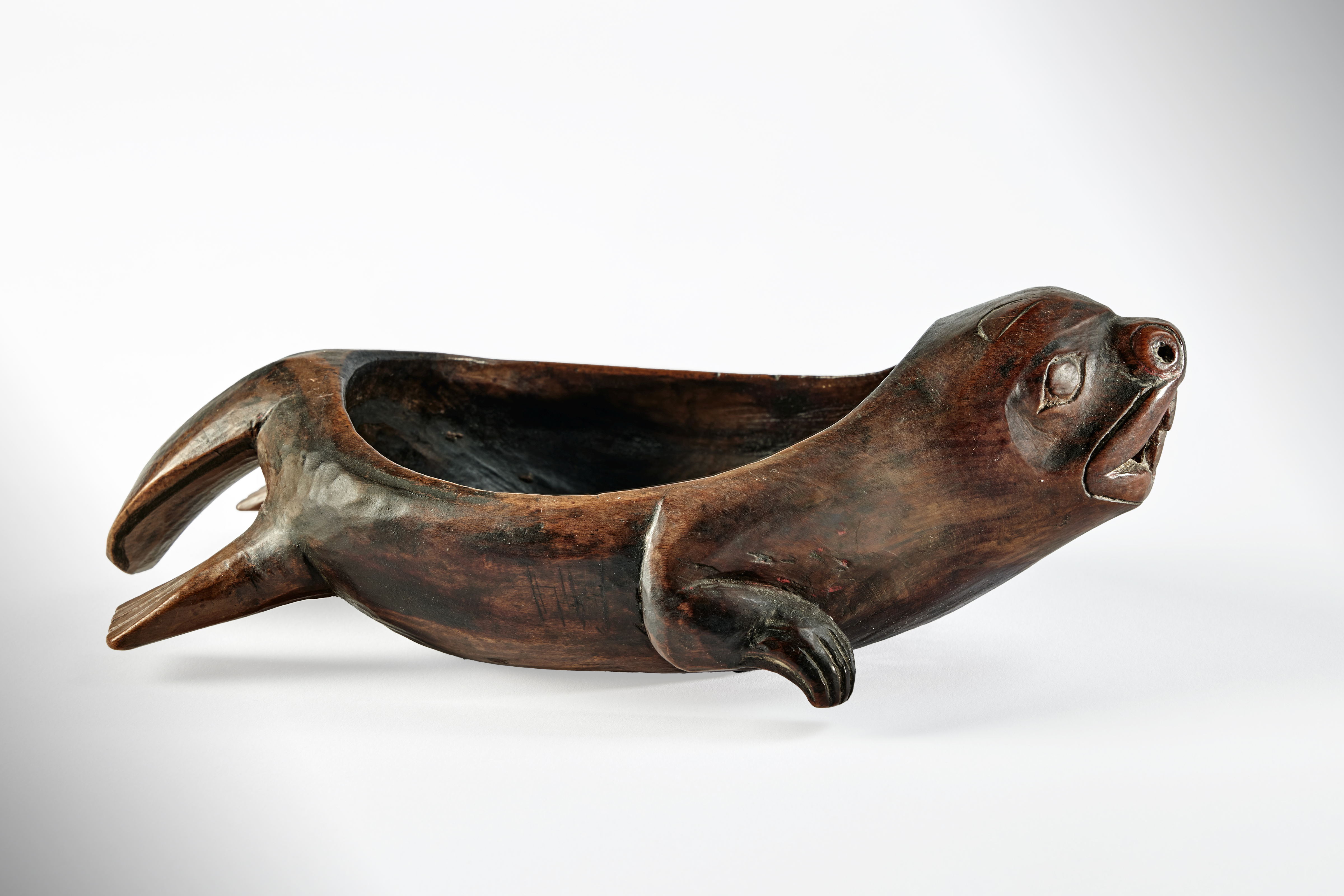 Haida Bowl in the form of a Beaver, Haida Gwaii — Haida Bowl in the form of a Beaver, Haida Gwaii