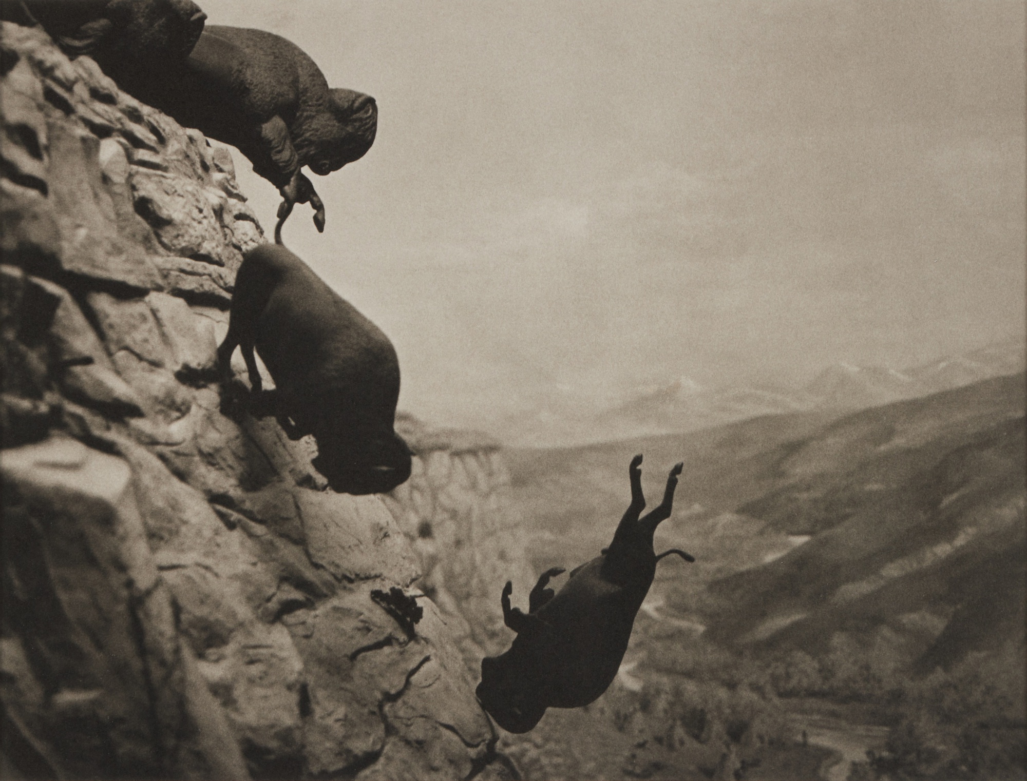 David Wojnarowicz — Untitled (Buffaloes)