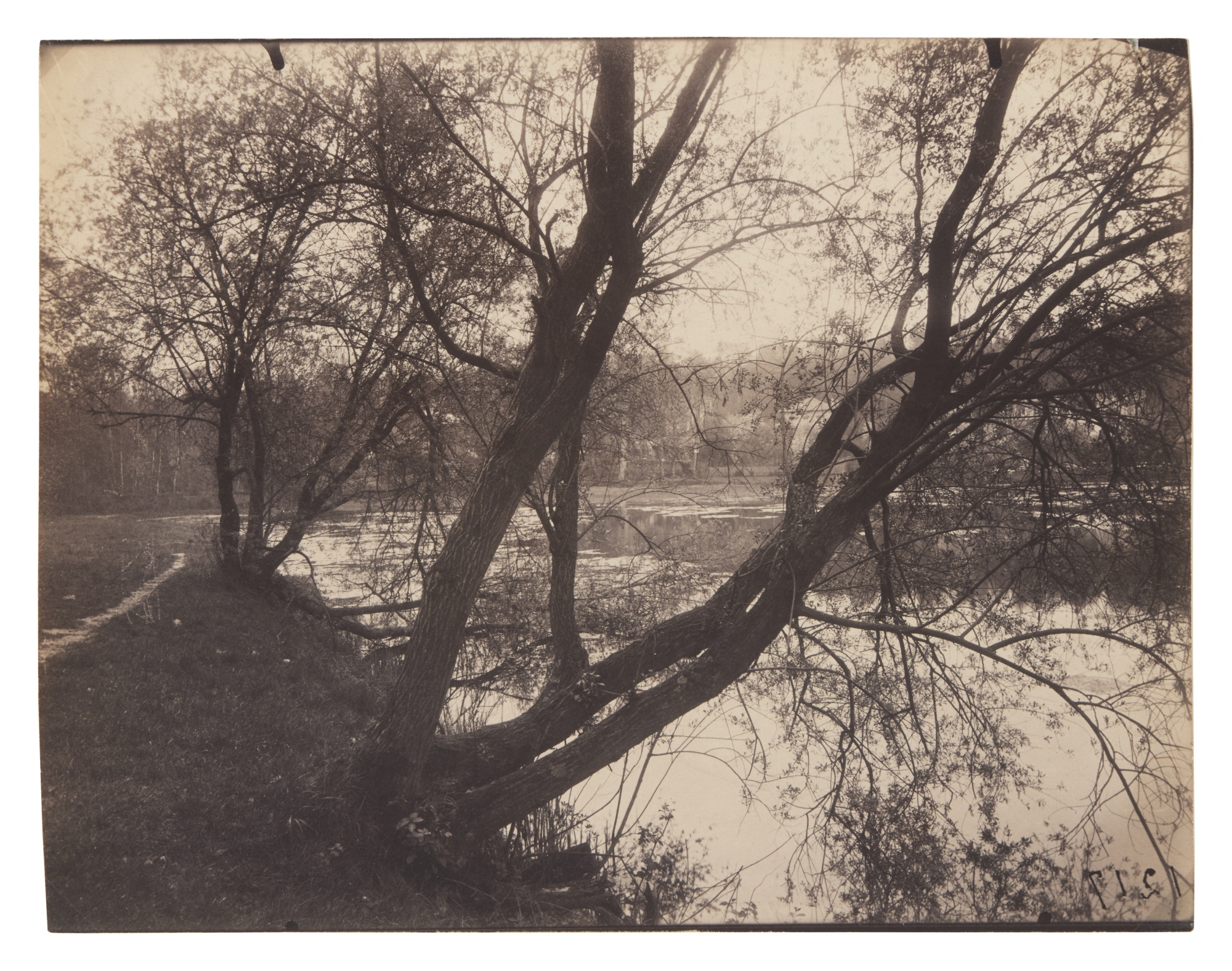 Eugène Atget — Étang, Ville-d'Avray