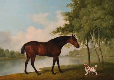 Bay Cob with a King Charles Spaniel on the Banks of the Serpentine in Hyde Park