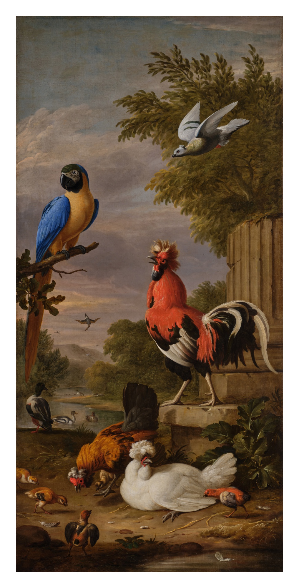 Unknown — Asian Silkie Fowls, a South American Parrot, and Other Birds in an Imaginary Landscape