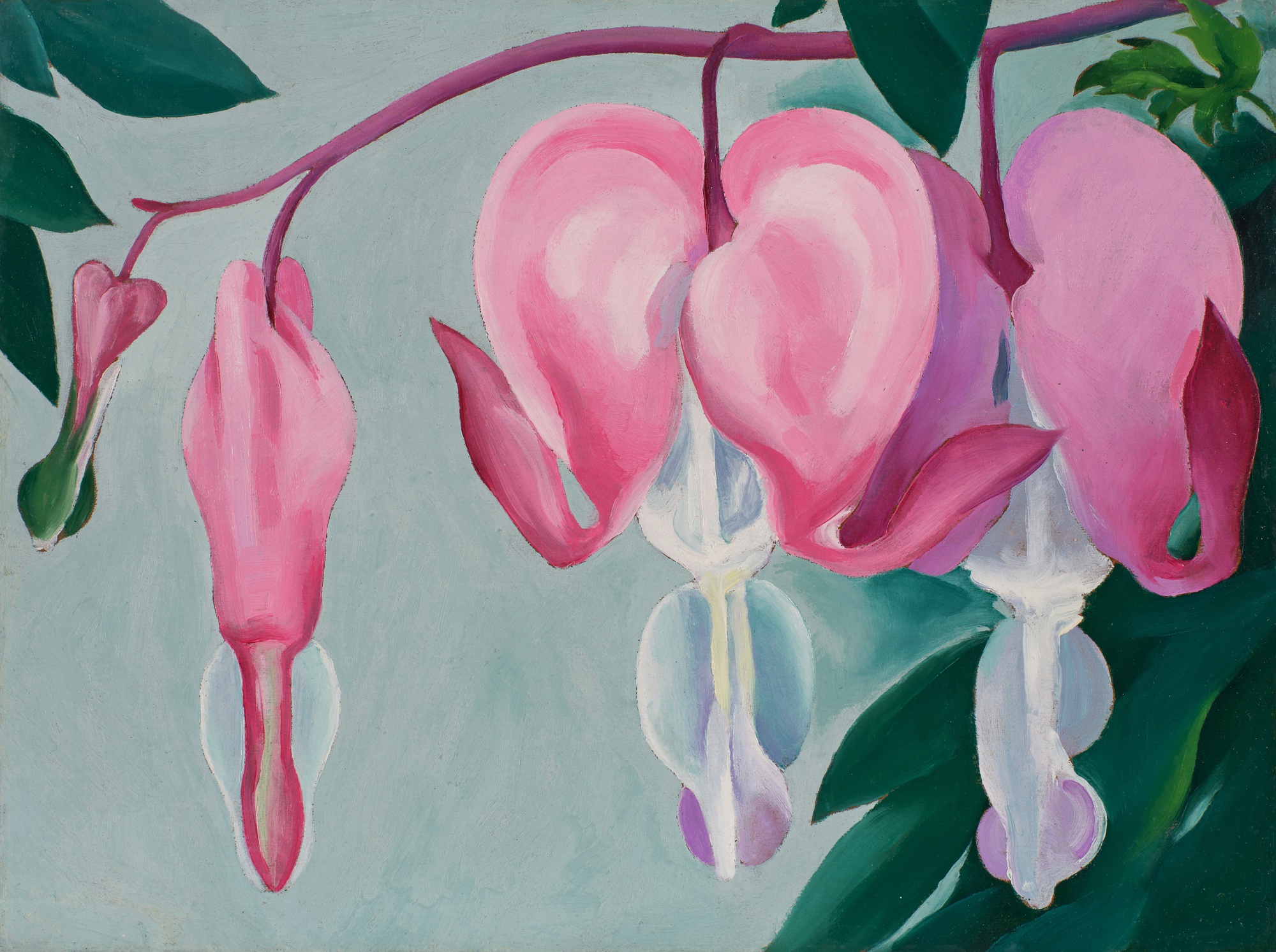Georgia O’Keeffe — Bleeding Heart I