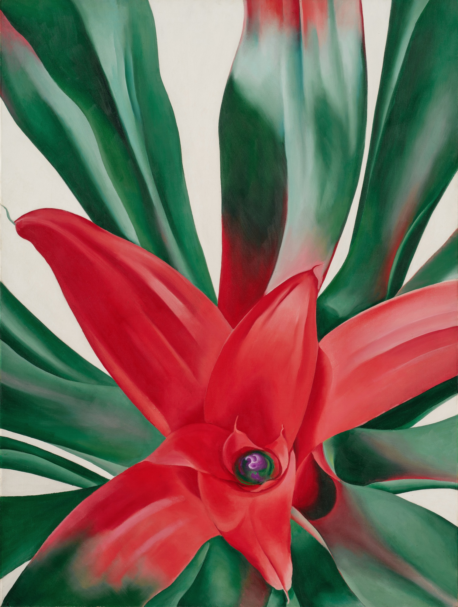 Georgia O’Keeffe — Leaves of a Plant
