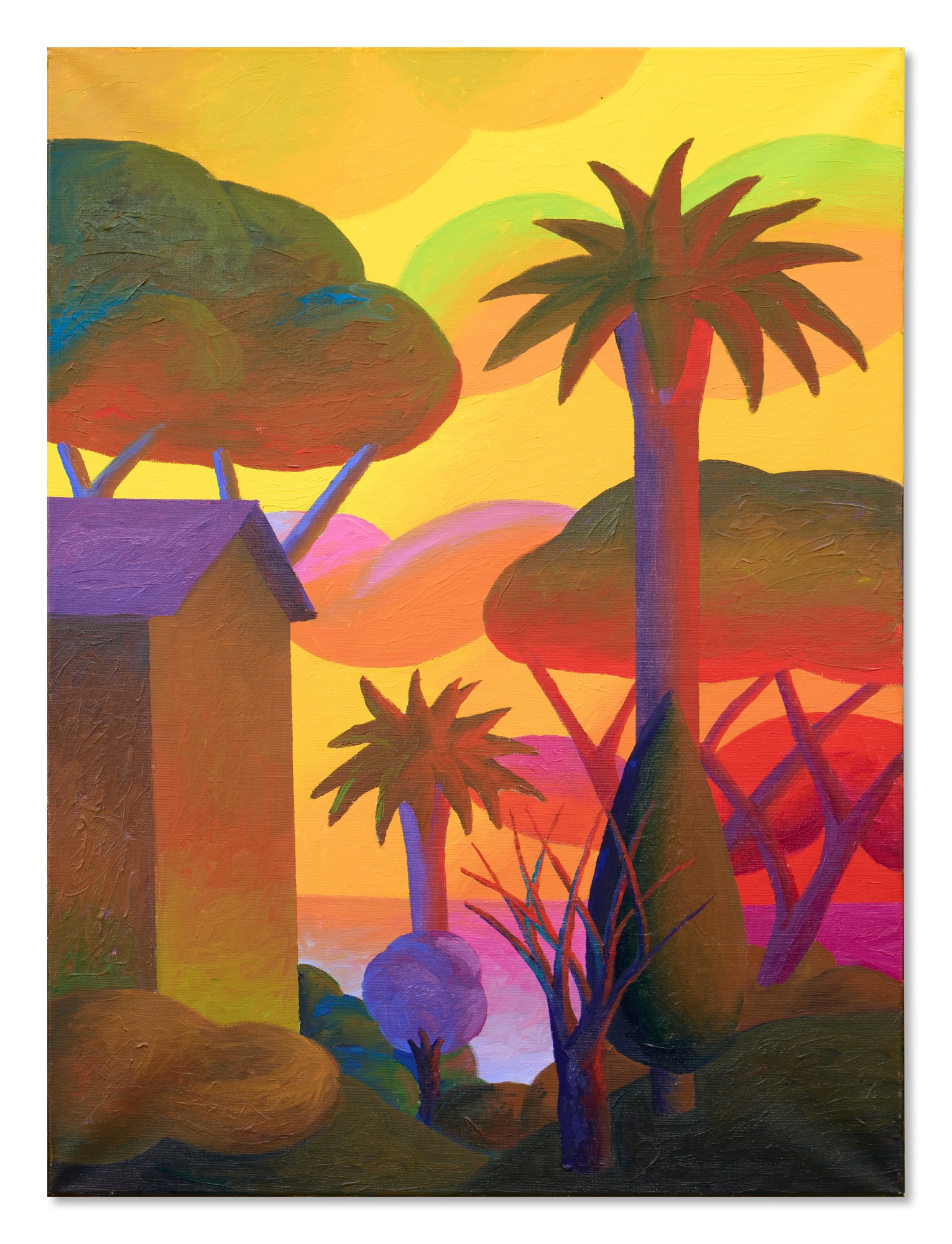 Salvo — Il giorno fu pieno di lampi la sera verranno le stelle