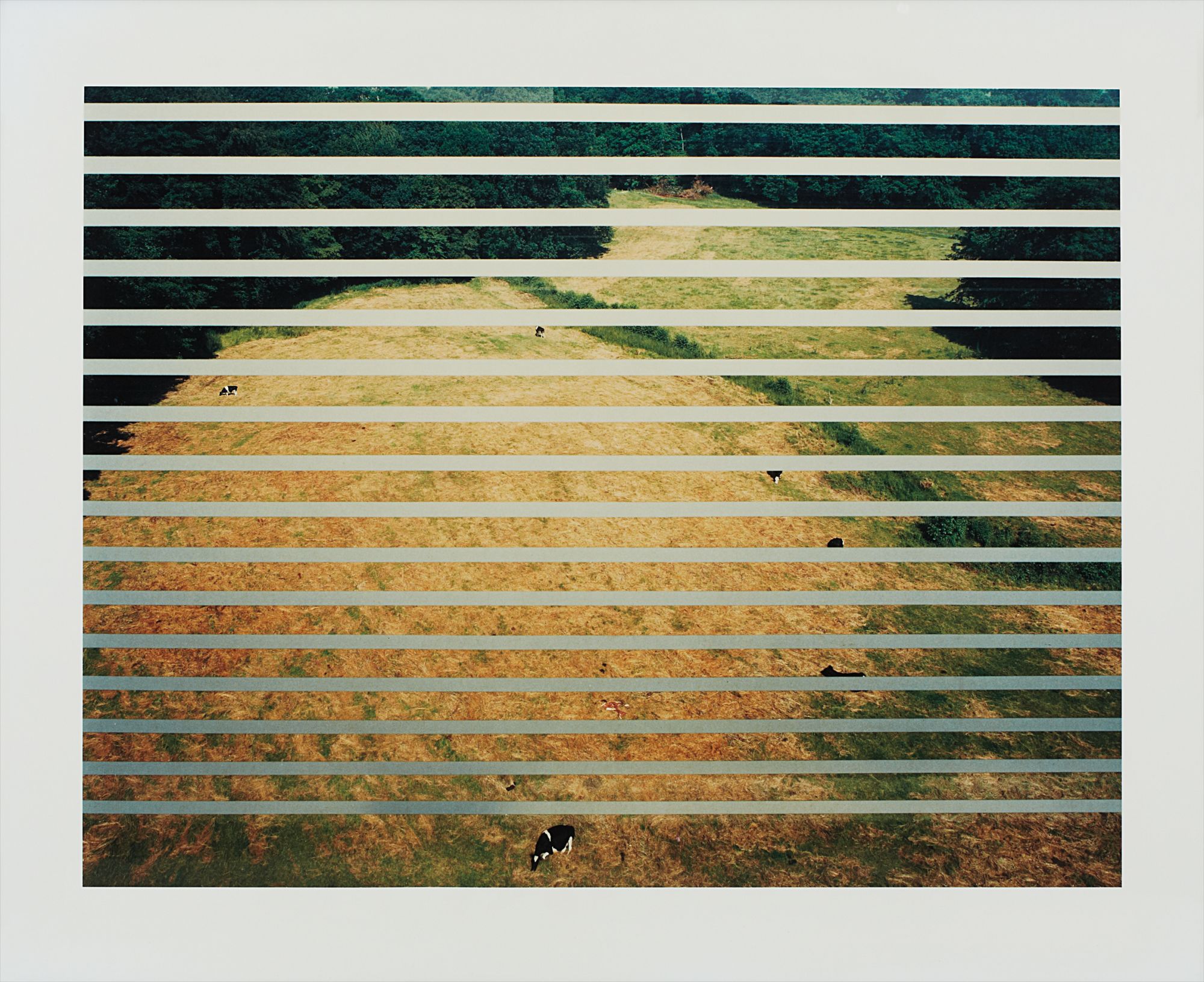 Andreas Gursky — Autobahn Mettmann