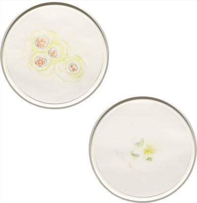 Two Works: i) Connected World (Drawing II); ii) Connected World (Drawing III)