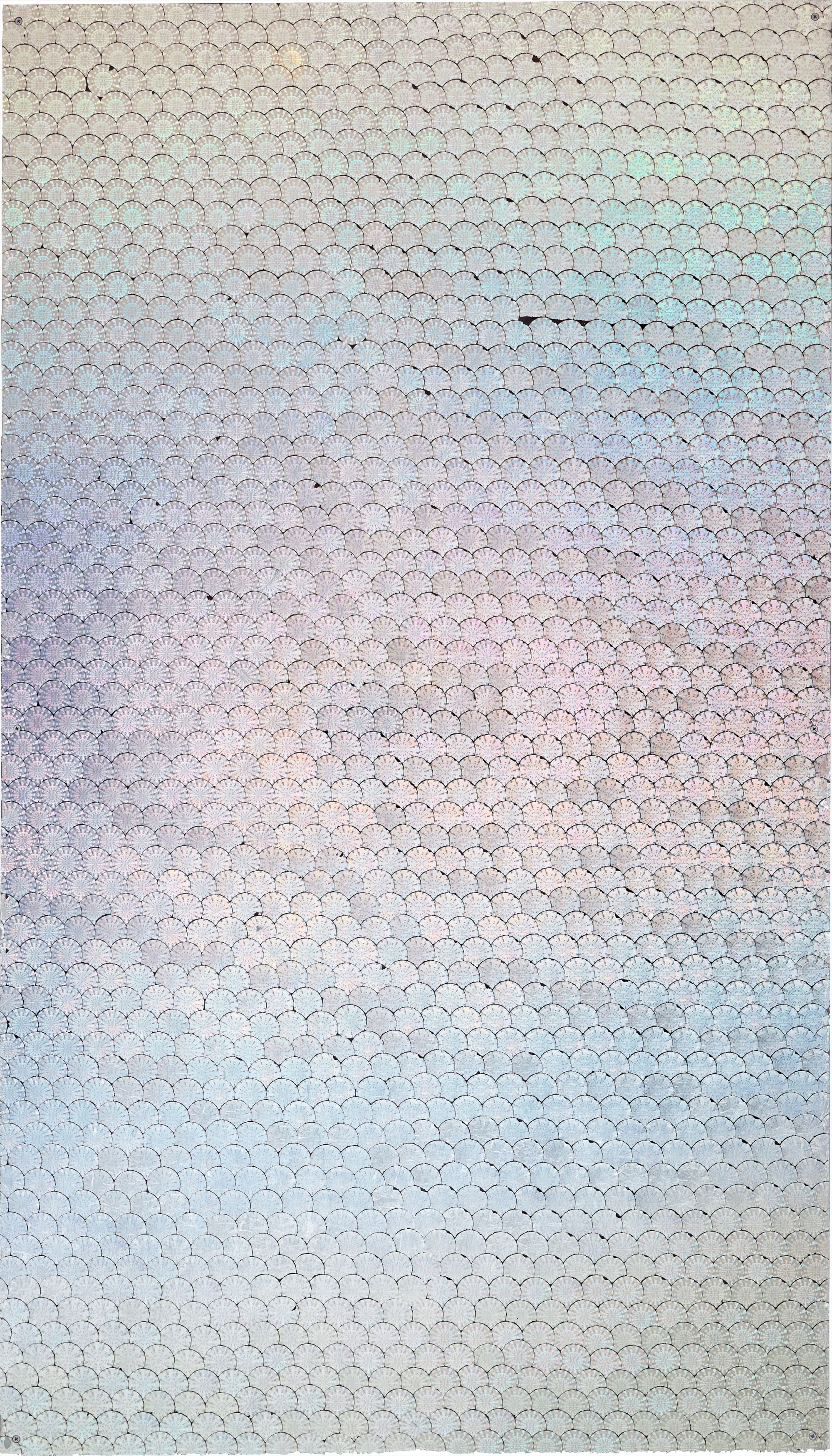 Schengen Visa Hologram