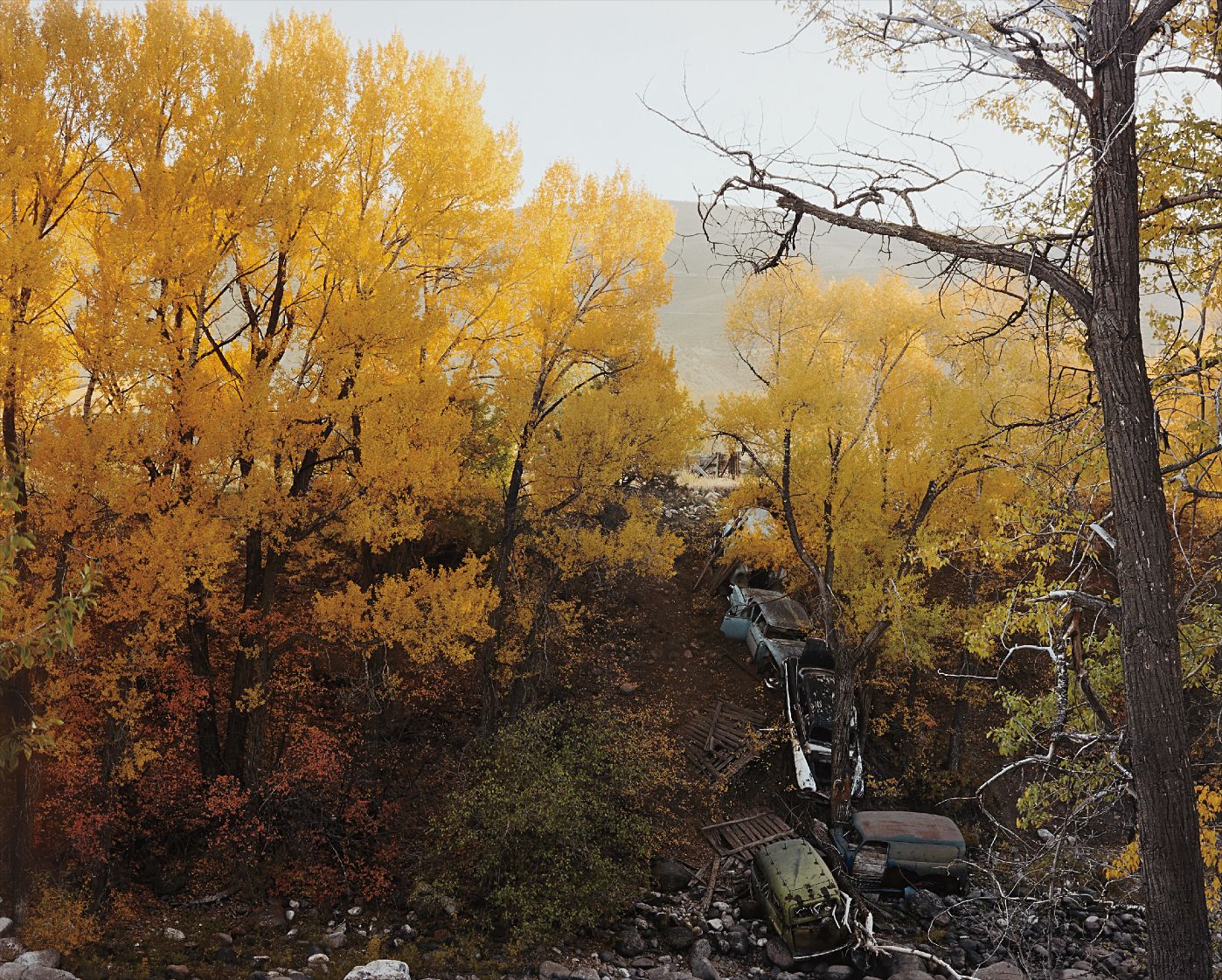 Joel Sternfeld — Near Vail, Colorado, October