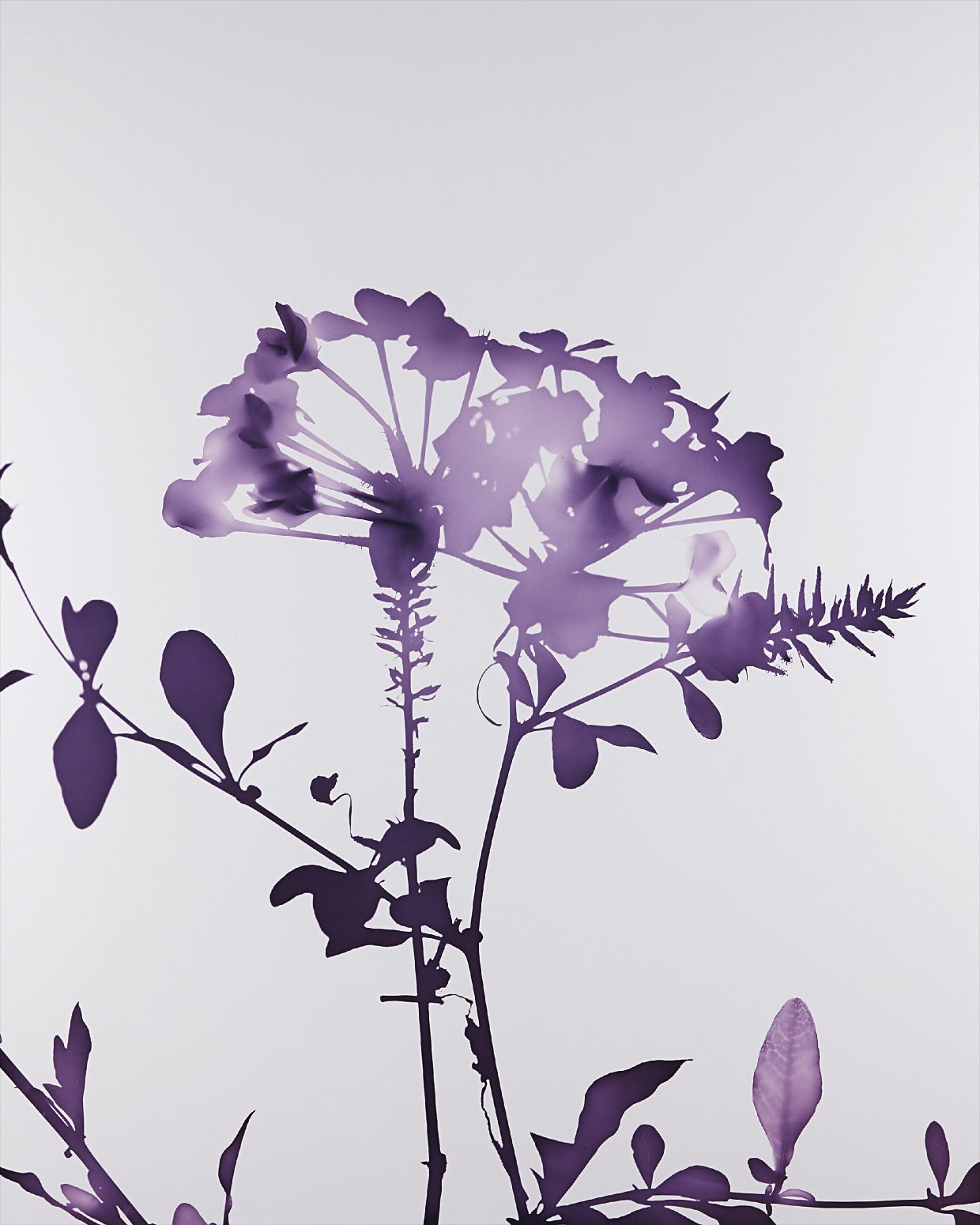 James Welling — #012