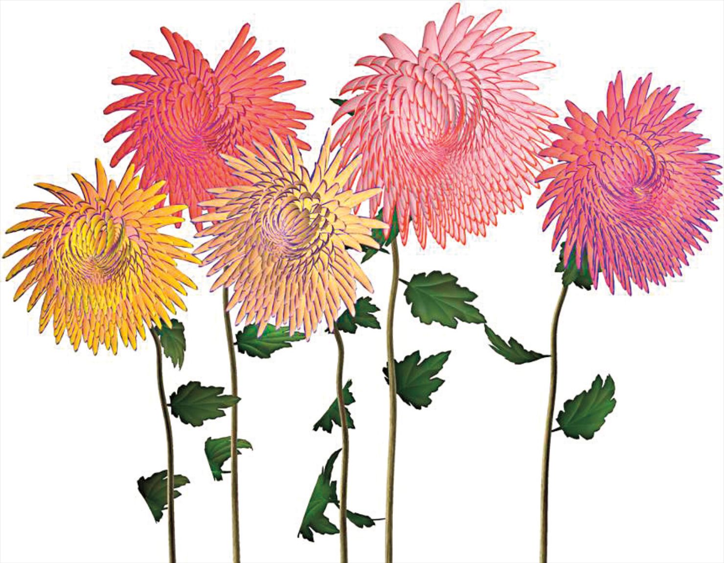 Dance Hall Girl #12 (chrysanthemums)