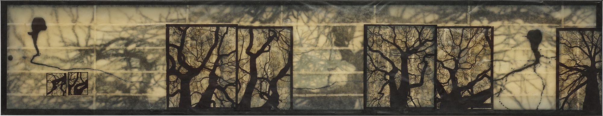 Doug Starn and Mike Starn — Structure of Thought #13