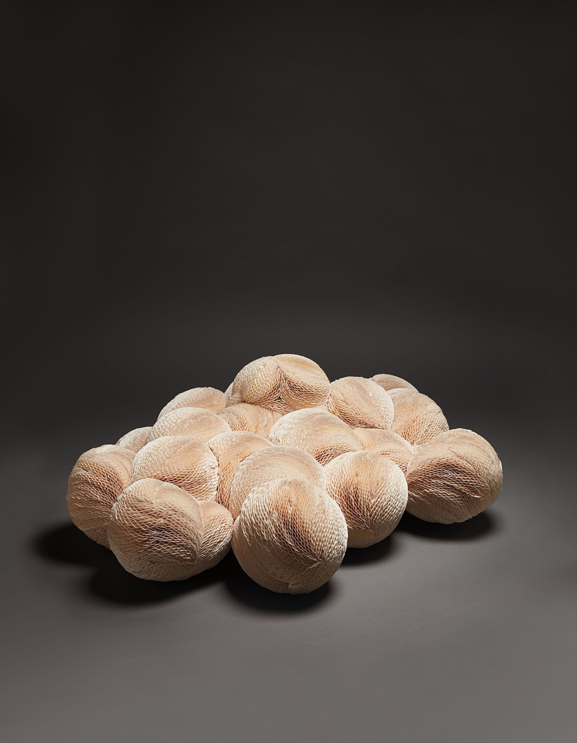 Tara Donovan — paper plates and glue