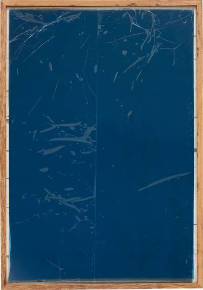 Park Slope Food Coop VI